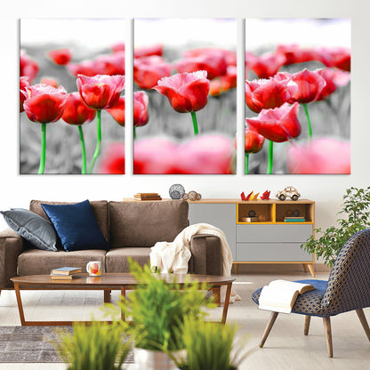 44554-MGV-CV-36X24-Vibrant red tulips stand out beautifully against a black-and-white background, making a striking decor piece perfect for any home