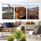 71222-MGV-CV-36X24-A playful Highland cow with shaggy fur sticks out its tongue, set against a rugged landscape — perfect for quirky home or office