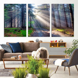 42047-MGV-CV-36X24-Sunlit Forest Path Wall Art – Nature Canvas Print, Serene Woodland Landscape, Perfect Home & Office Decor for Calm and Tranquil