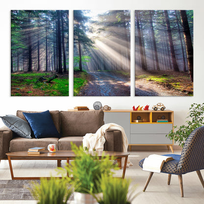 42047-MGV-CV-36X24-Sunlit Forest Path Wall Art – Nature Canvas Print, Serene Woodland Landscape, Perfect Home & Office Decor for Calm and Tranquil