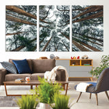 18790-MGV-CV-36X24-Pine Canopy Wall Art – Panoramic View of Towering Pines Canvas Print, Nature-Inspired Decor for Office, Cabin or Living Room
