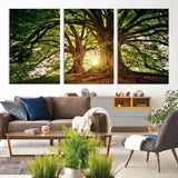 52150-MGV-CV-36X24-Majestic Tree Wall Art – Large Nature Canvas Print with Sunlight Through Branches, Rustic Forest Decor for Living Room, Bedroom or