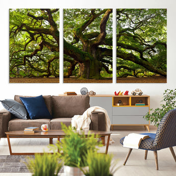 29407-MGV-CV-36X24-Ancient Oak Tree Wall Art – Majestic Nature Canvas Print, Large Tree Photography Decor for Living Room or Office