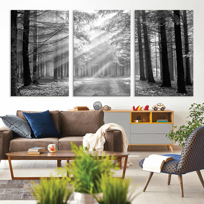 39665-MGV-CV-36X24-Black and White Forest Path Wall Art – Sunlight Rays in Trees Canvas Print, Nature Landscape Decor for Living Room or Office