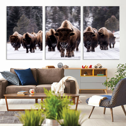 66871-MGV-CV-36X24-Bison Herd Wall Art – Wildlife Buffalo Canvas Print, Rustic Western Nature Photography Decor for Living Room, Office, Cabin, or
