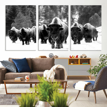 62434-MGV-CV-36X24-Bison Herd Wall Art – Majestic Black and White Buffalo Canvas Print, Wildlife Nature Photography Decor for Living Room, Office or