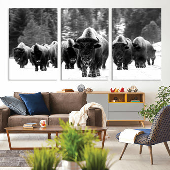 62434-MGV-CV-36X24-Bison Herd Wall Art – Majestic Black and White Buffalo Canvas Print, Wildlife Nature Photography Decor for Living Room, Office or
