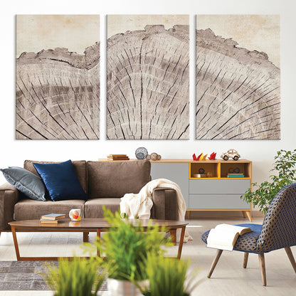 67528-MGV-CV-36X24-Wood Ring Wall Art Canvas Print, Framed Tree Ring Art Picture Print, Rustic Tree Ring Perfect Neutral Boho Decor Artwork