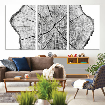 98709-MGV-CV-36X24-Tree Ring Wall Art – Black and White Canvas Print Rustic Wood Cross Section, Minimal Nature Inspired Decor for Living Room,