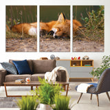 25085-MGV-CV-36X24-Sleeping Fox Wall Art Canvas Print, Framed Rustic Fox Art Picture Print, Wildlife Animal Perfect Rustic Farmhouse Decor Artwork