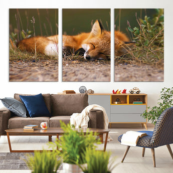 25085-MGV-CV-36X24-Sleeping Fox Wall Art Canvas Print, Framed Rustic Fox Art Picture Print, Wildlife Animal Perfect Rustic Farmhouse Decor Artwork