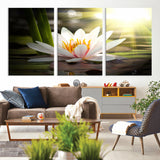 60352-MGV-CV-36X24-White Water Lily Wall Art – Lotus Flower Canvas Print with Sunlight Reflection, Peaceful Botanical Artwork for Living Room,