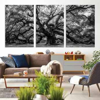 132944706-MGV-CV-36X24-Ancient Tree Wall Art – Black and White Photography Canvas Print Featuring Majestic Twisting Branches, Rustic Nature Artwork for
