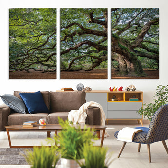 MGV-CV-60X30-3P - Historic Tree Wall Art Canvas Print, Framed Mossy Tree Art Picture Print, Twisted Branches Perfect Nature Southern Decor Artwork
