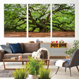 51255351-MGV-CV-36X24-Ancient Tree Wall Art – Majestic Oak Canvas Print, Large Nature Photography, Sacred Forest Landscape Wall Décor, Wisdom Tree