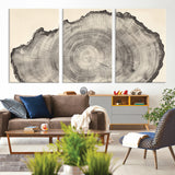 98921313-MGV-CV-36X24-Tree Ring Wall Art Canvas Print, Framed Wood Slice Art Picture Print, Minimalist Wood Perfect Rustic Academic Decor Artwork