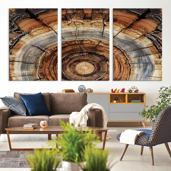 15184146-MGV-CV-36X24-Tree Rings Wall Art Canvas Print, Framed Wood Texture Art Picture Print, Rustic Pattern Perfect Rustic Organic Decor Artwork