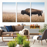 99620201-MGV-CV-36X24-Wild Bison Wall Art Canvas Print, Framed Bison in Prairie Art Picture Print, Rustic Western Perfect Rustic Western Decor Artwork