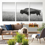 28435251-MGV-CV-36X24-Bison In Prairie Wall Art Canvas Print, Framed Rustic Wildlife Art Picture Print, Wild Buffalo Perfect Rustic Western Decor