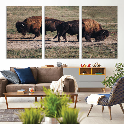 58141885-MGV-CV-36X24-Bison Photography Wall Art Canvas Print, Framed Western Wildlife Art Picture Print, Modern Ranch Perfect Western Rustic Decor