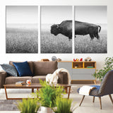 90861202-MGV-CV-36X24-Black and White Bison Canvas Wall Art – Rustic American Buffalo Print, Western Wildlife Photography for Farmhouse, Cabin, Office